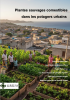 Plantes sauvages comestibles dans les potagers urbains