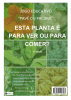 jogo educativo "pavê ou pacumê"